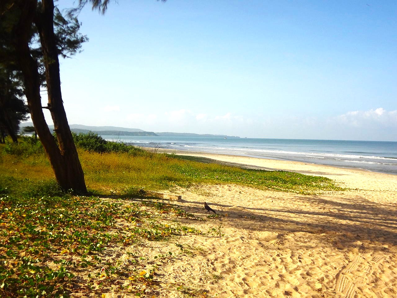 Goa, the best beach destination in India