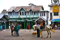 7 Best Places To Visit In Darjeeling