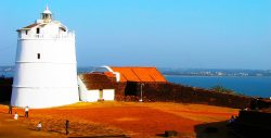 7 Best Things To Do In Goa