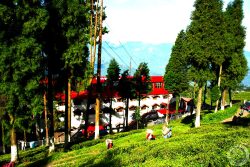 7 Best Places To Visit In Darjeeling