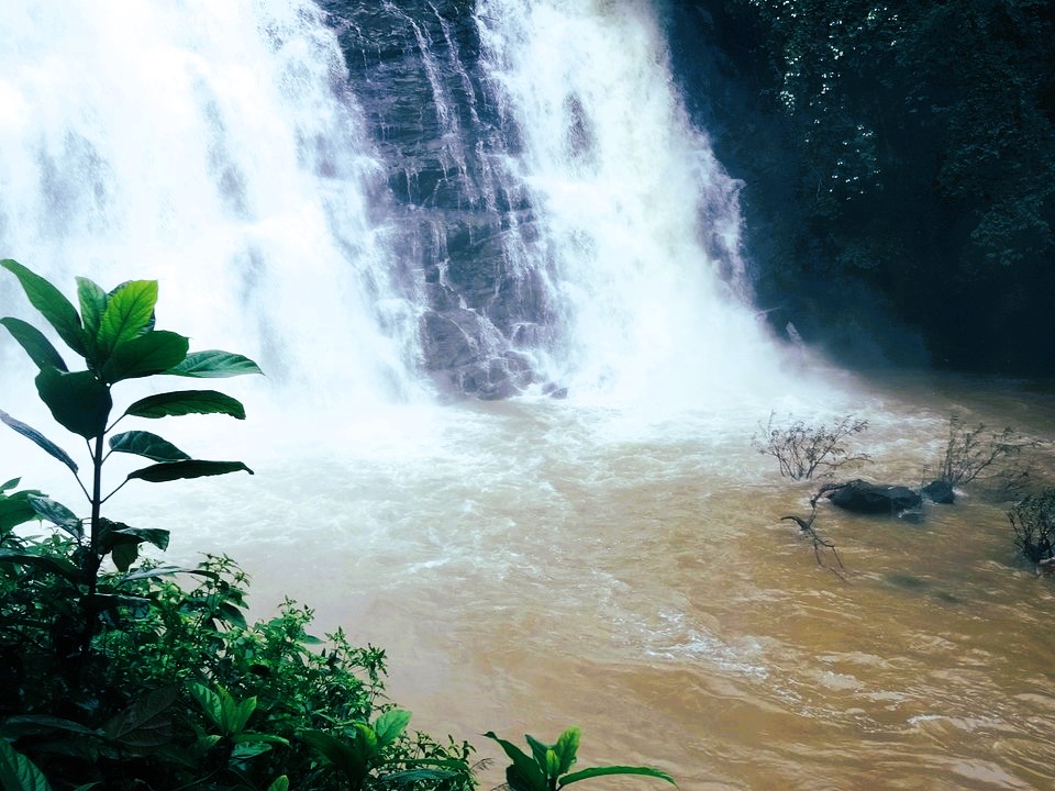 Bangalore to Ooty - The Best Pictorial Journey through Nature's Wonderland