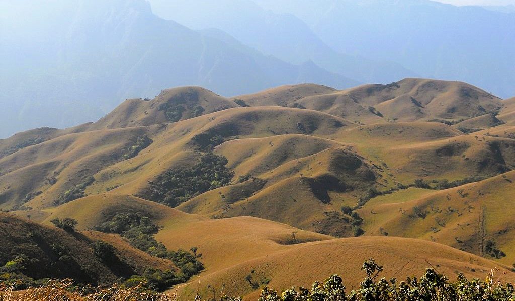 Mukurthi national park Bangalore to Ooty - The Best Pictorial Journey through Nature's Wonderland