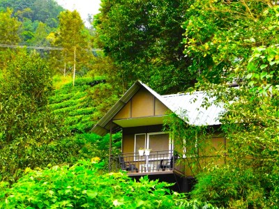 Munnar Riverside Home stay 1