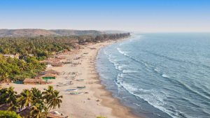 7 Best Things To Do In Goa