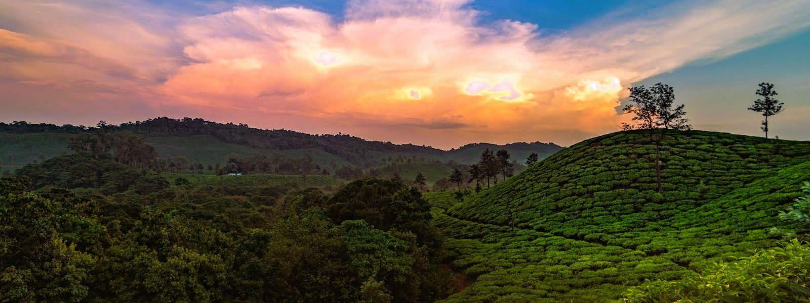 ink Bangalore to Bliss: Weekend Getaway Ideas