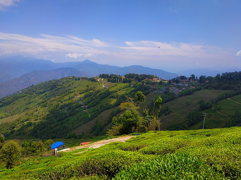 Darjeeling - the queen of hills
